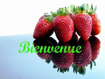*BiEnVeNuE*